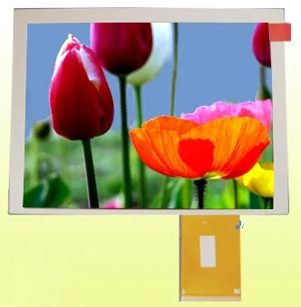 5.0 collu COG Krāsu TFT LCD Digitālais Ekrāns 640*480 TTL Interfeiss